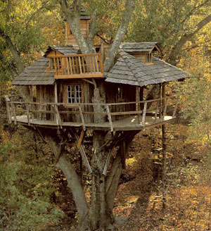 Una casa en el árbol